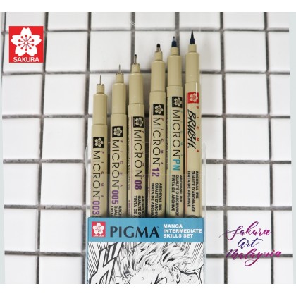 Pigma Intermediate Manga Set